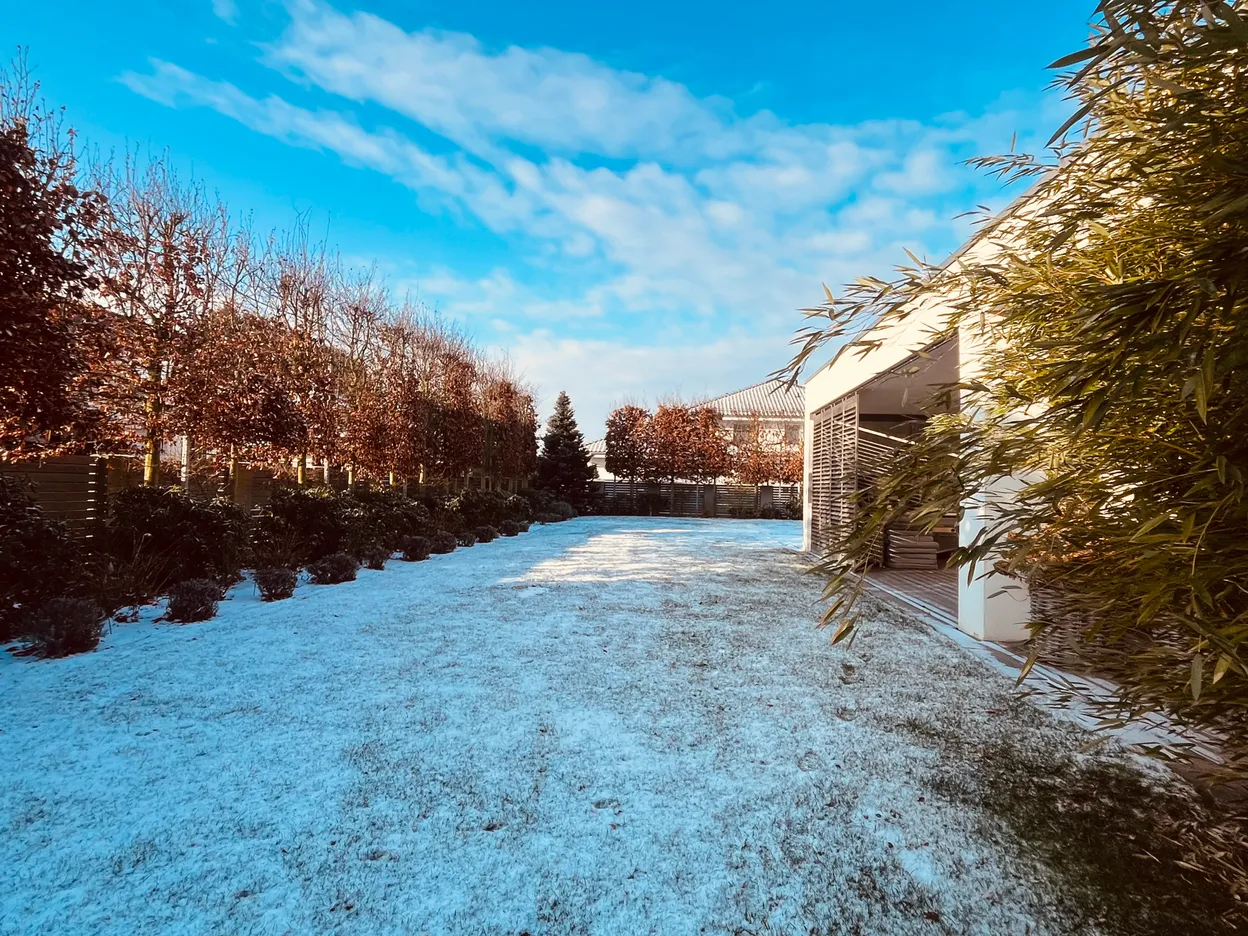 O_1 - Szczecin - Niepołomicka Garden