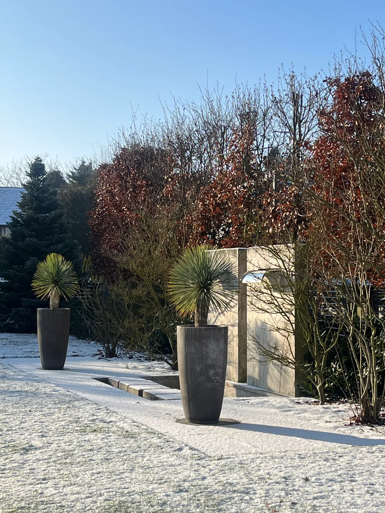 O_1 - Szczecin - Niepołomicka Garden