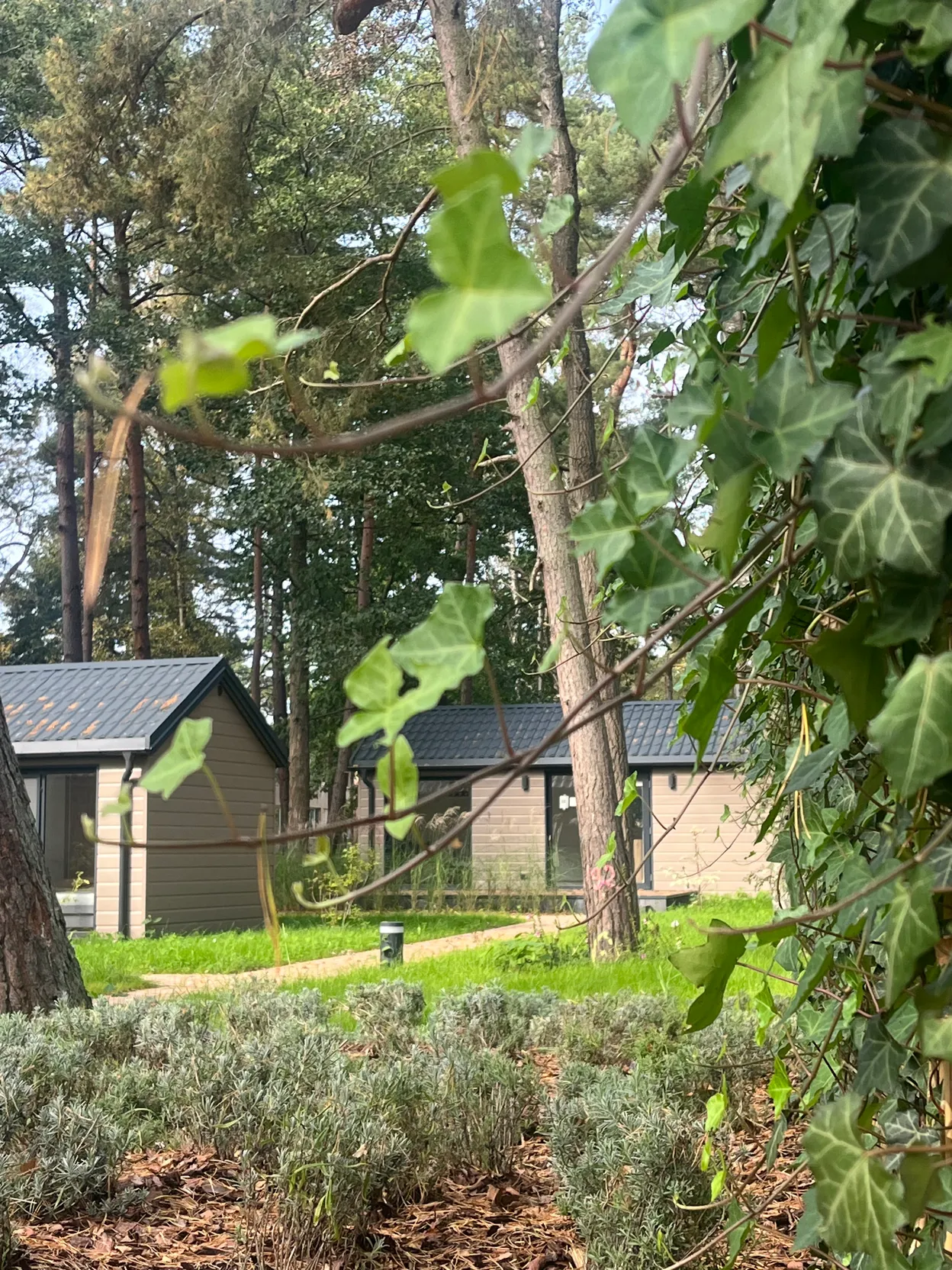 OP_6 - Mrzeżyno - Folga Resort Garden