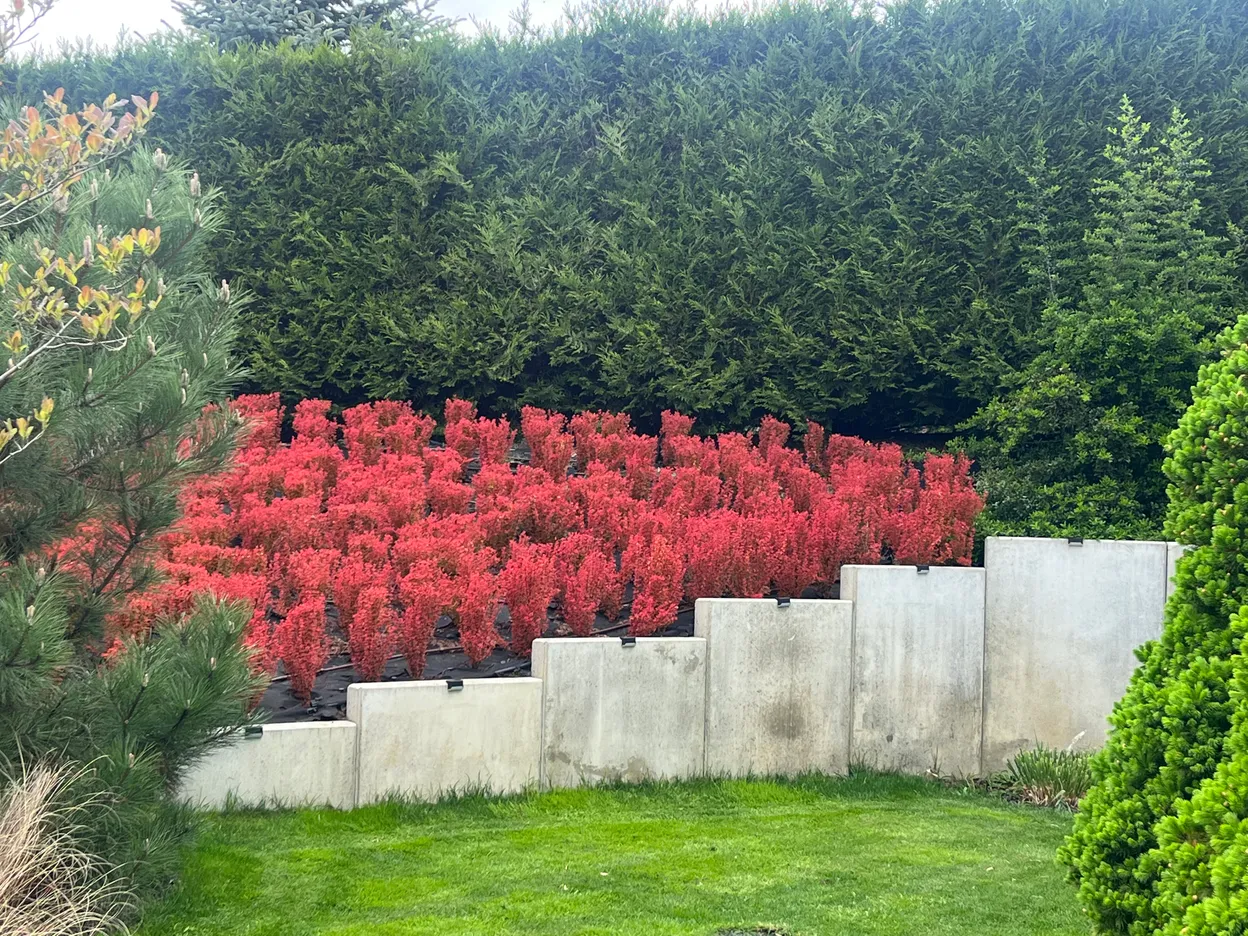 O_3 - Szczecin - Siadło Dolne Garden