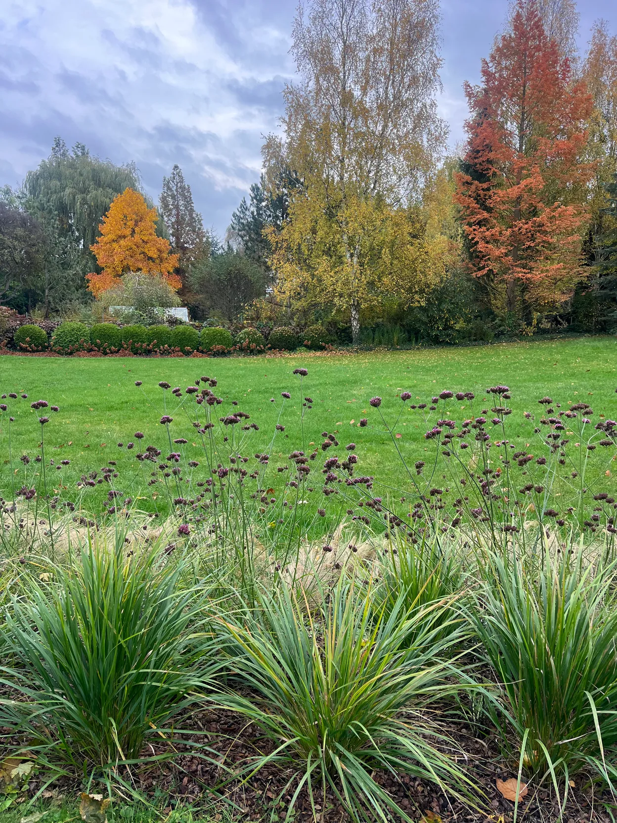 O_5 - Szczecin - Kameralna Garden