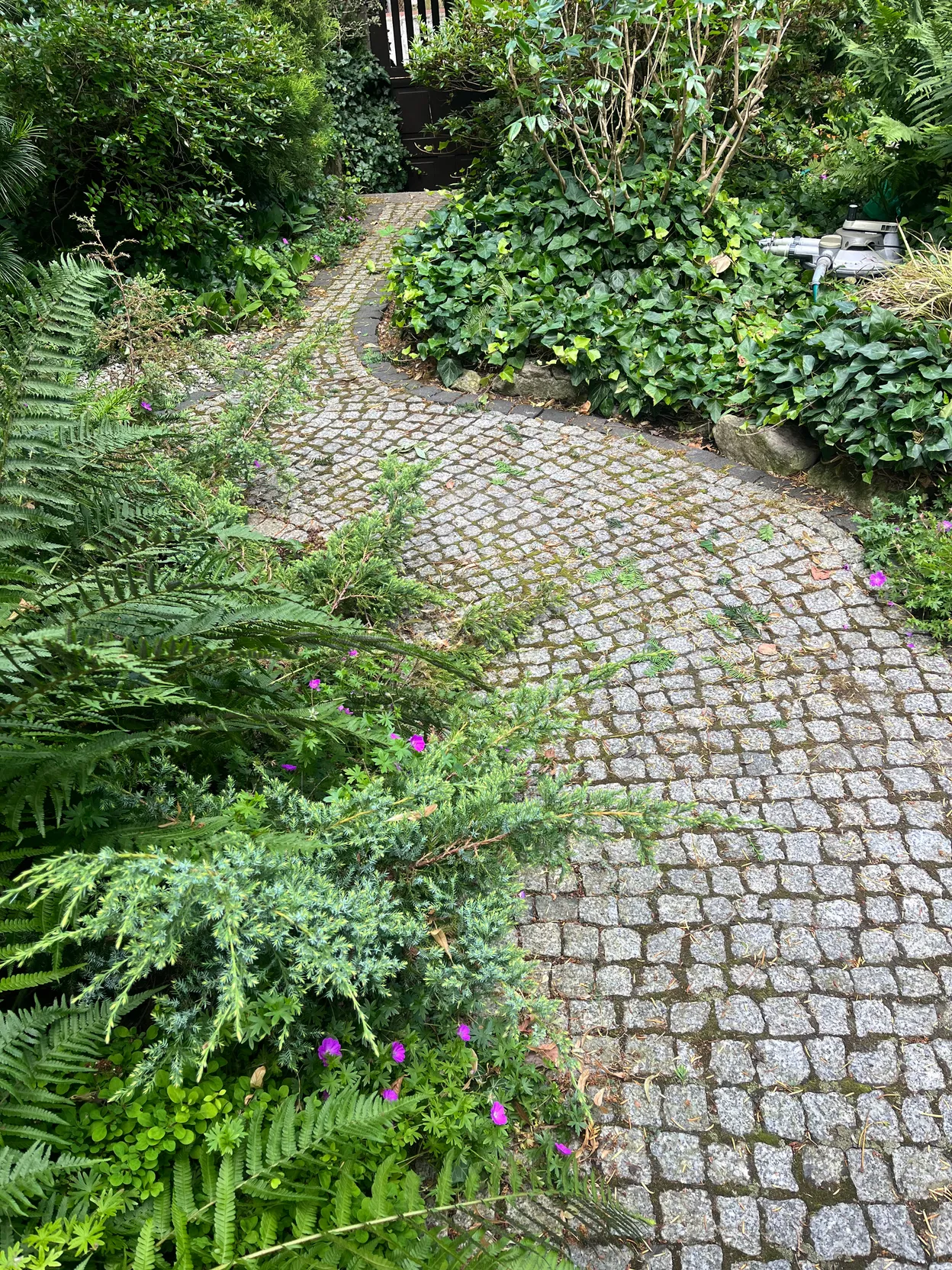 S_2 - Szczecin - Pogodno Garden