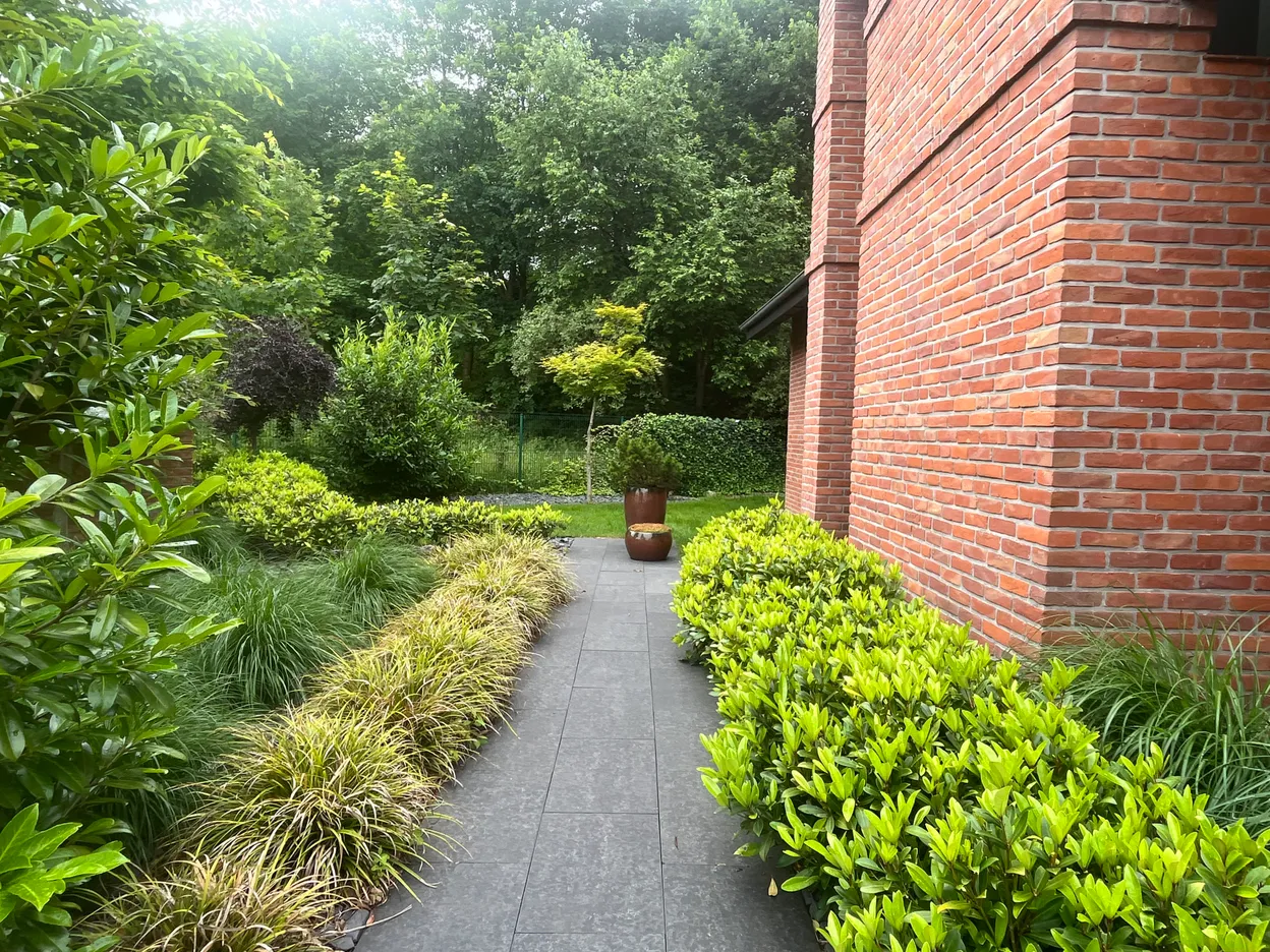 O_2 - Szczecin - Nektarowa Garden