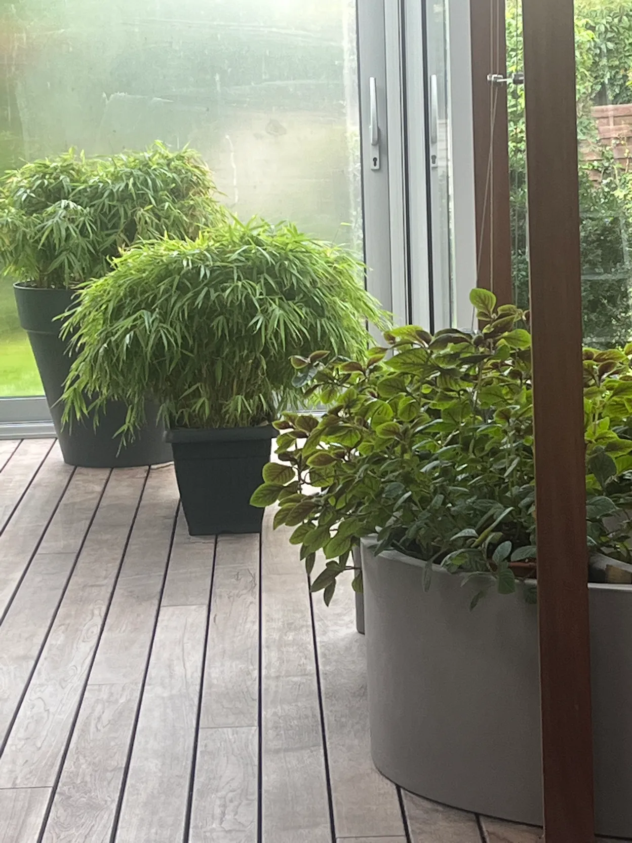 OP_3 - Szczecin Zdroje - Hahs-Klinika Implantologii i Ortodoncji Garden