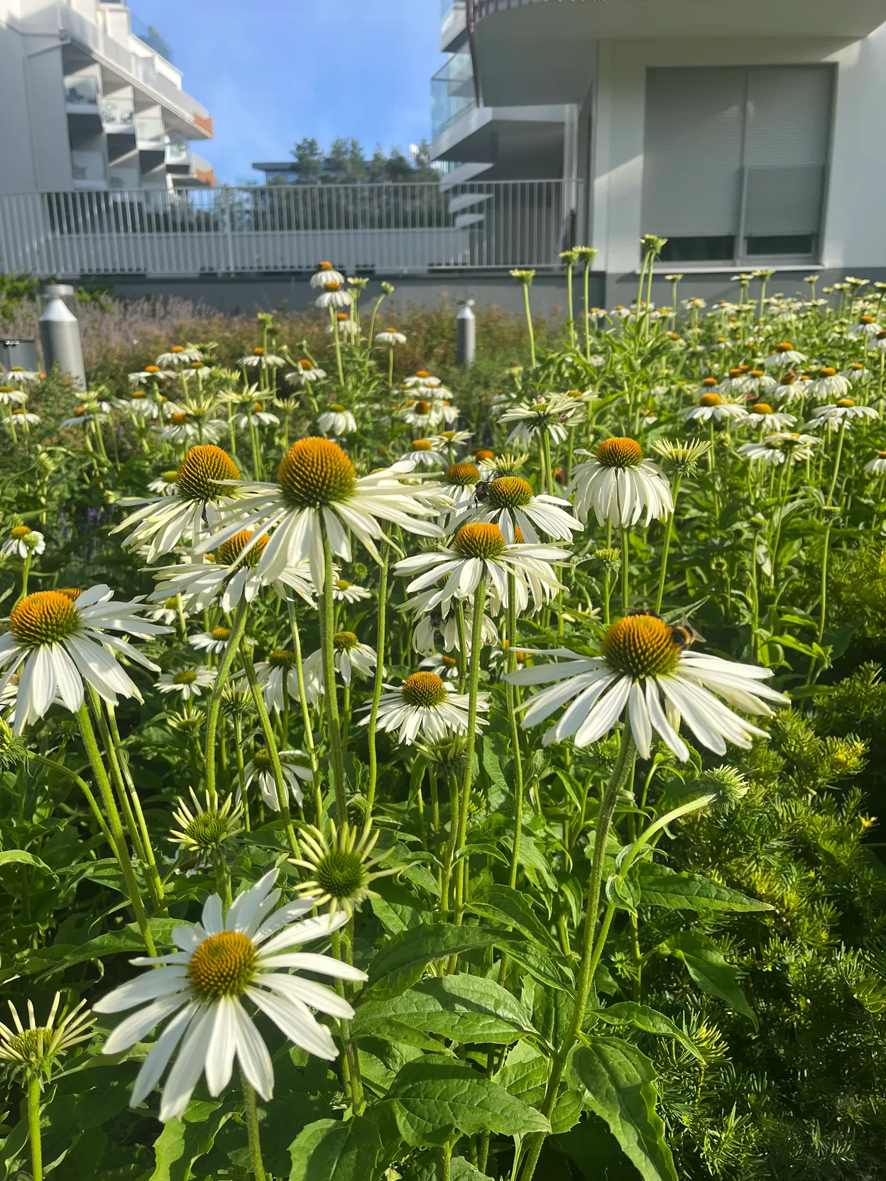 OP_4 - Świnoujście - ApartPark Garden