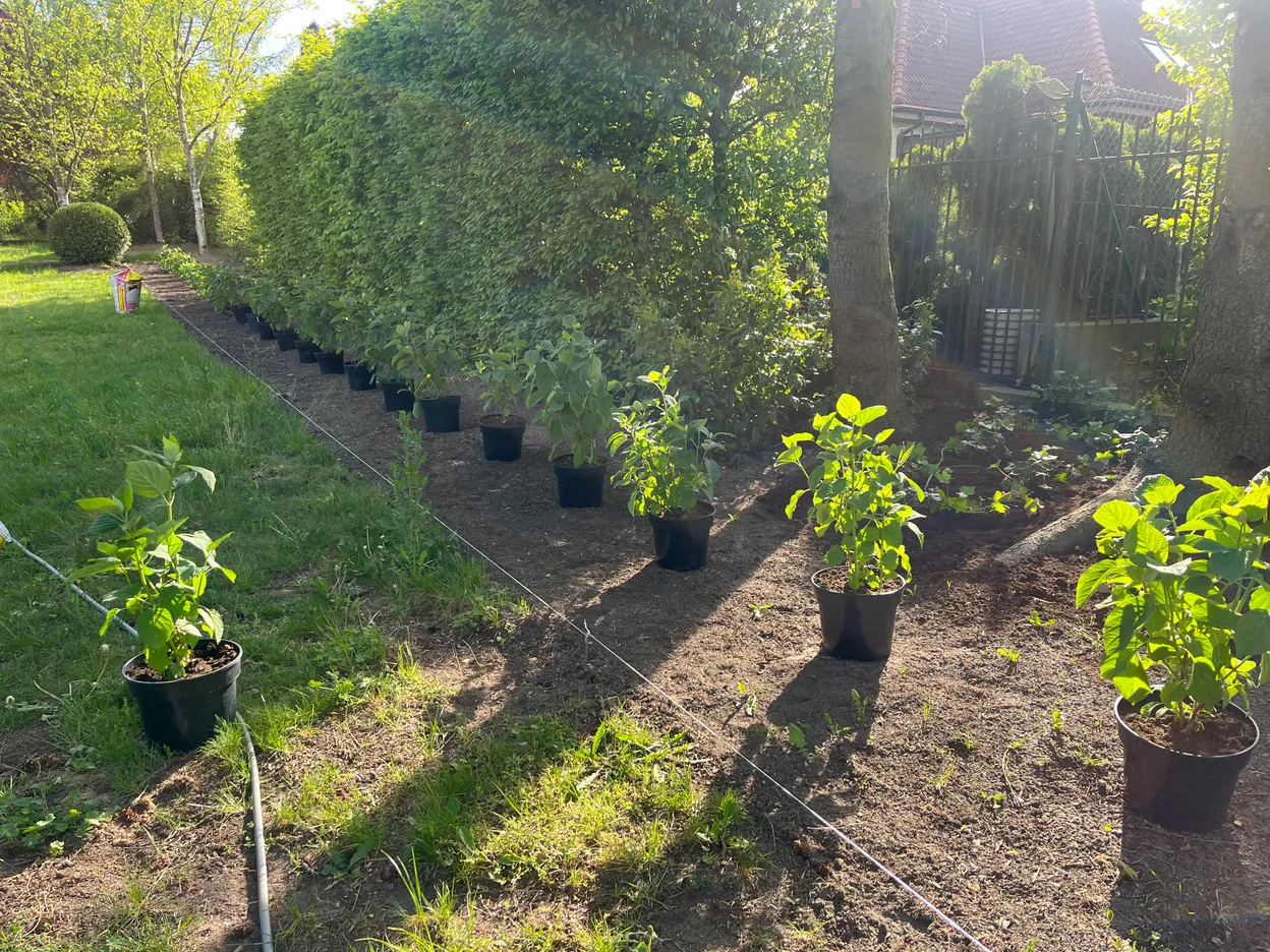 O_5 - Szczecin - Kameralna Garden