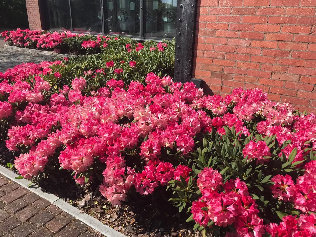 OP_5 - Gryfice - Folga Hotel Restauracja Browar Spa Garden