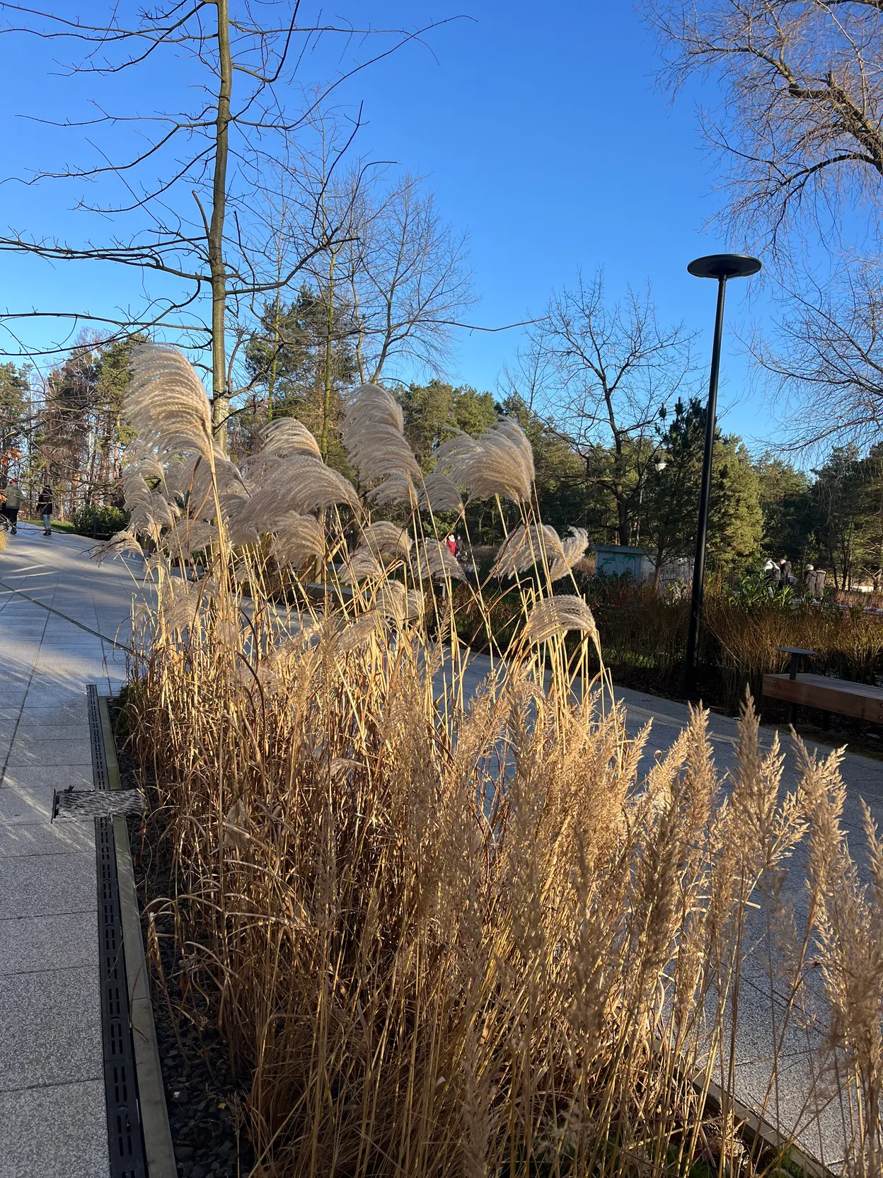 OP_2 - Świnoujście - Baltic Park Loft by Zdrojowa Garden