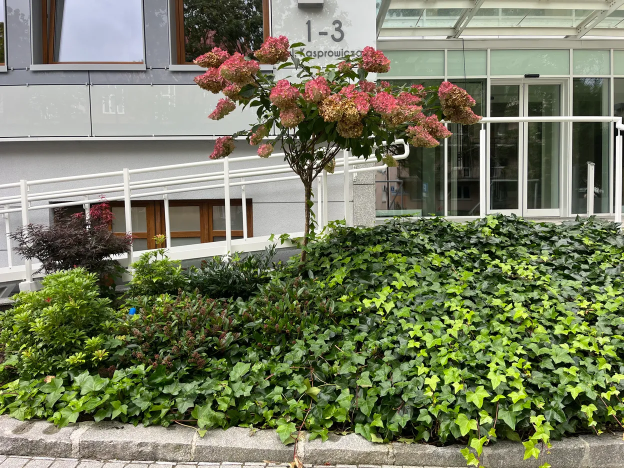 OP_8 - Świnoujście - D.W. Karkonosze Garden