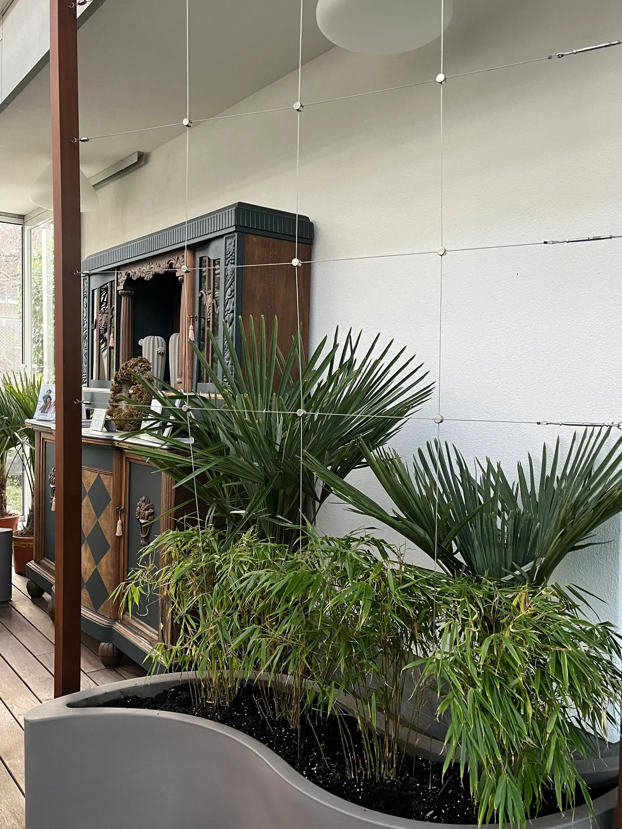 OP_3 - Szczecin Zdroje - Hahs-Klinika Implantologii i Ortodoncji Garden