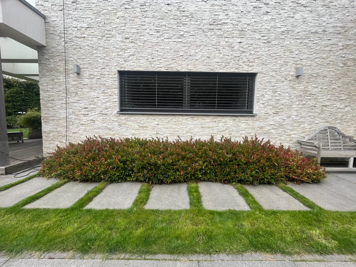 O_1 - Szczecin - Niepołomicka Garden