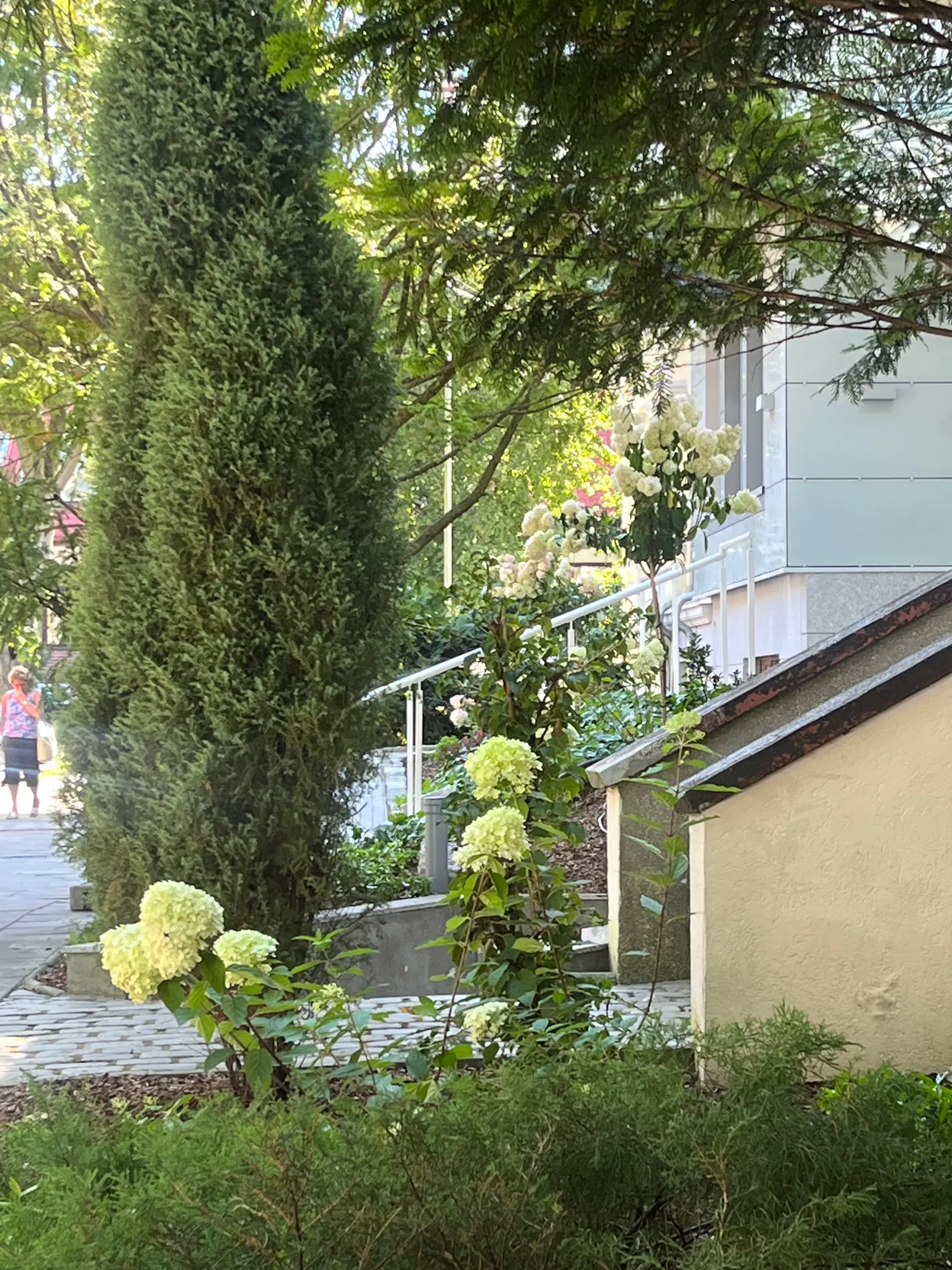 OP_8 - Świnoujście - D.W. Karkonosze Garden