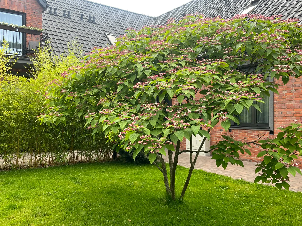 OP_5 - Gryfice - Folga Hotel Restauracja Browar Spa Garden