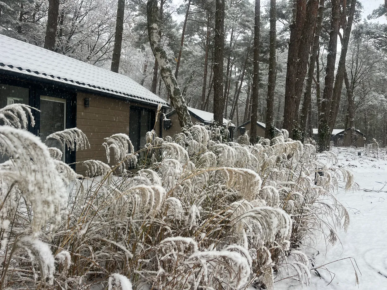 OP_6 - Mrzeżyno - Folga Resort Garden