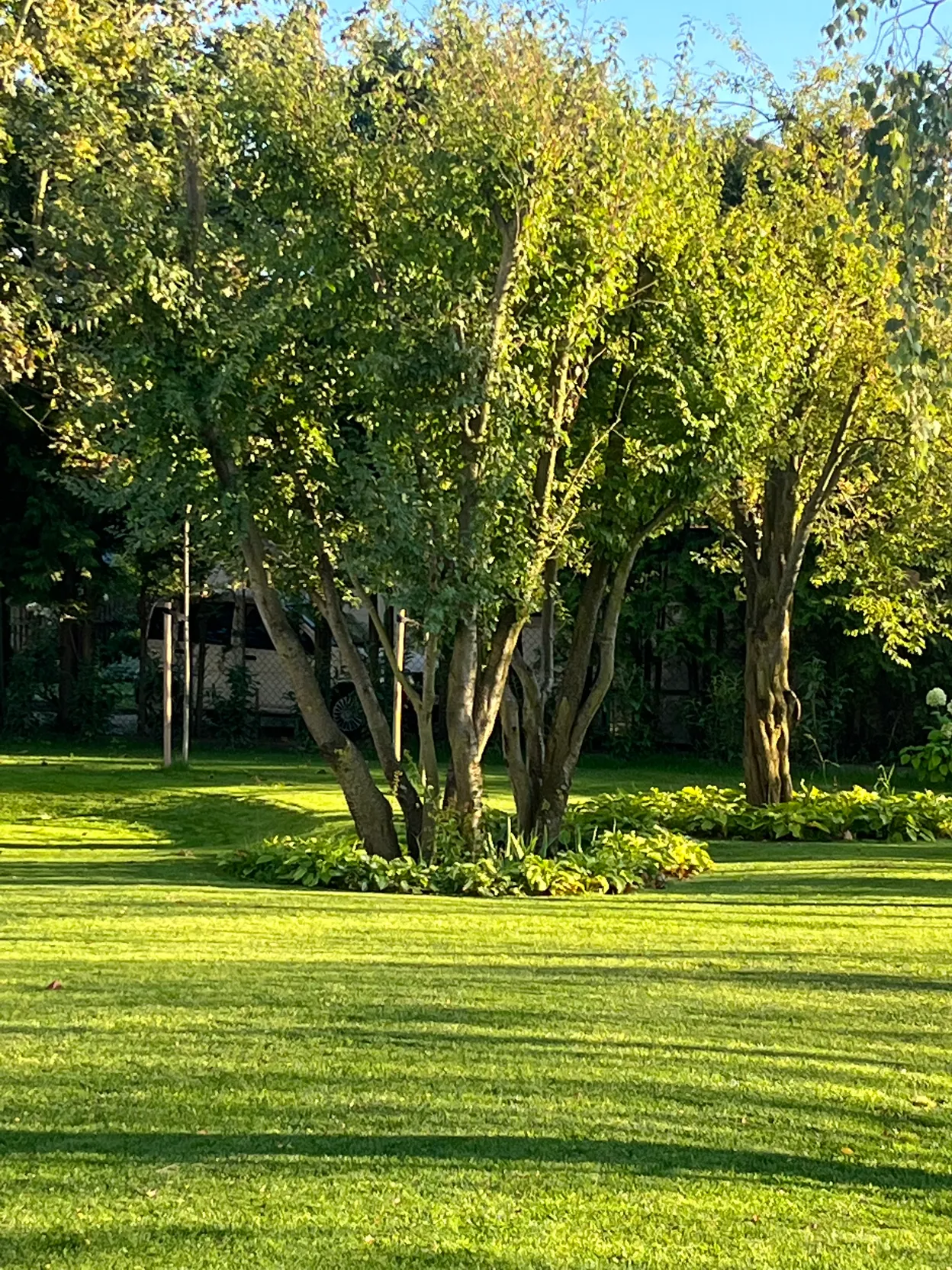 O_4 - Szczecin - Wiśniowy Sad Garden