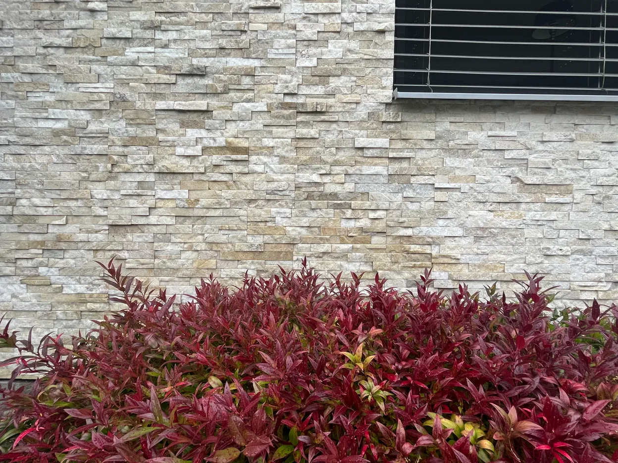 O_1 - Szczecin - Niepołomicka Garden