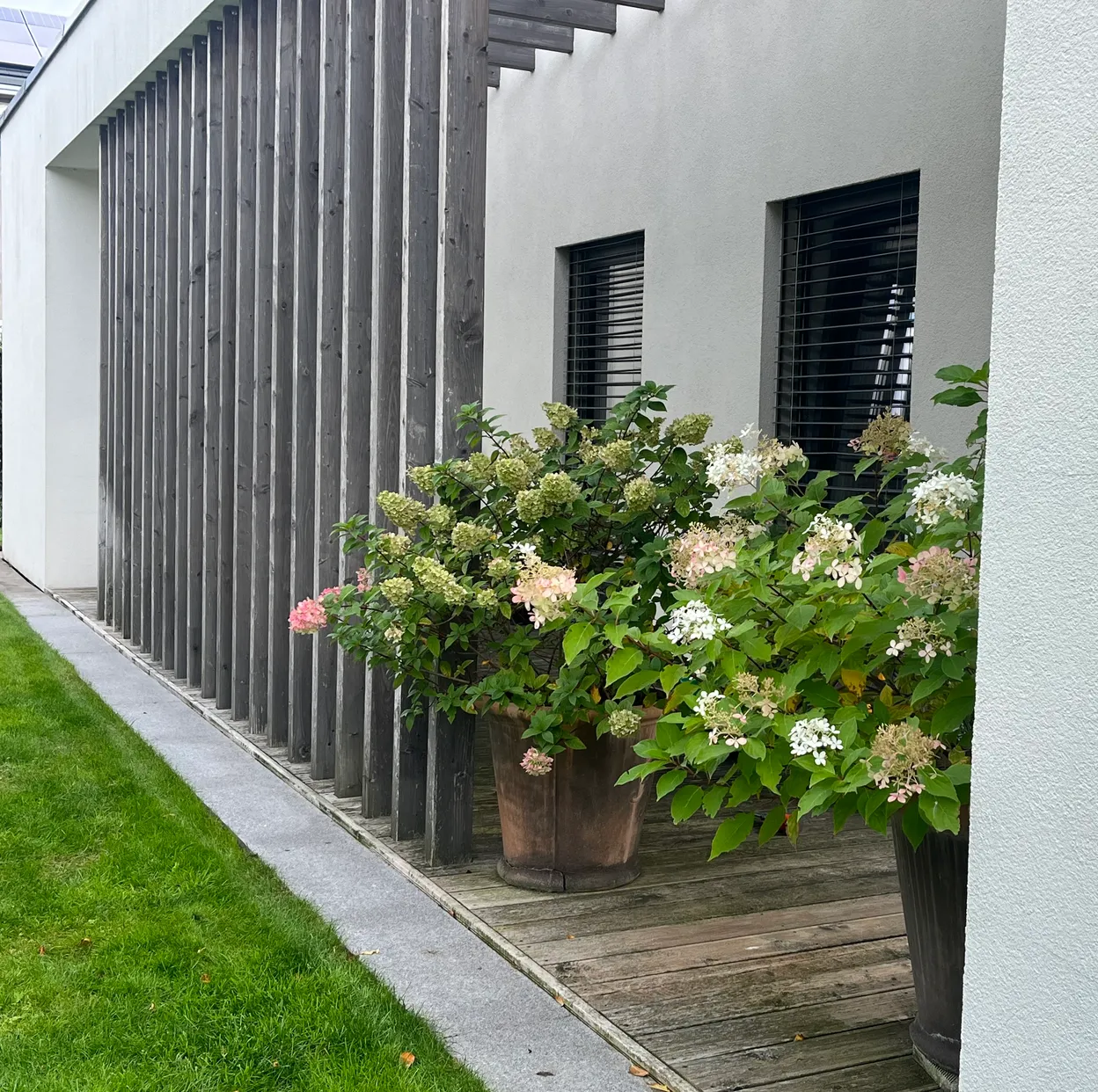 O_1 - Szczecin - Niepołomicka Garden